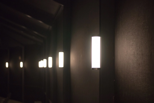 LED Lanai Lights